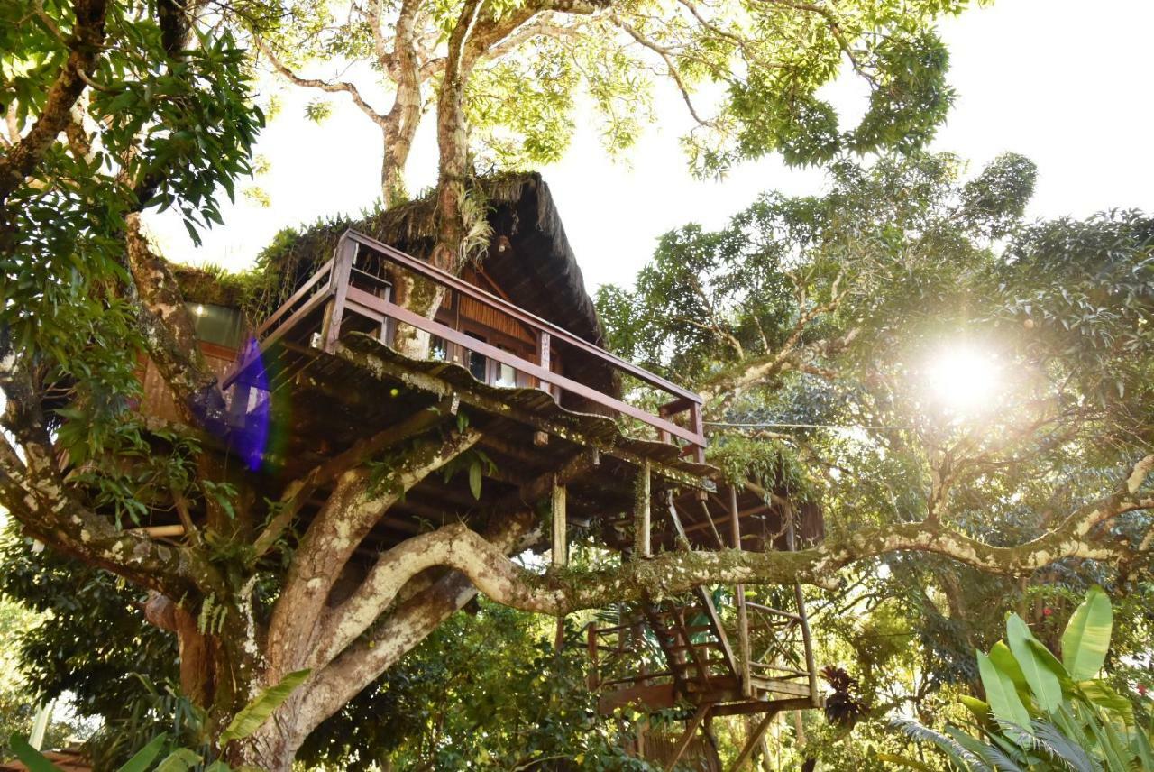 Готель Art Jungle Ітакаре Екстер'єр фото